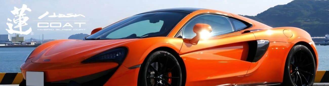 蓮コートイメージ画像